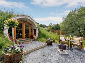 1 Bed in Llanidloes 81415